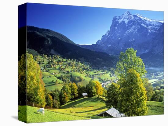 Grindelwald, Berner Oberland, Switzerland-Peter Adams-Stretched Canvas