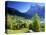 Grindelwald, Berner Oberland, Switzerland-Peter Adams-Stretched Canvas