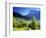 Grindelwald, Berner Oberland, Switzerland-Peter Adams-Framed Photographic Print