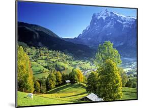 Grindelwald, Berner Oberland, Switzerland-Peter Adams-Mounted Photographic Print