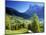 Grindelwald, Berner Oberland, Switzerland-Peter Adams-Mounted Photographic Print