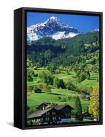 Grindewald, Switzerland-Peter Adams-Framed Stretched Canvas