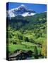 Grindewald, Switzerland-Peter Adams-Stretched Canvas