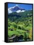 Grindewald, Switzerland-Peter Adams-Framed Stretched Canvas