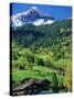 Grindewald, Switzerland-Peter Adams-Stretched Canvas