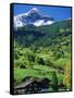 Grindewald, Switzerland-Peter Adams-Framed Stretched Canvas