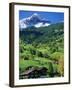 Grindewald, Switzerland-Peter Adams-Framed Photographic Print