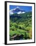 Grindewald, Switzerland-Peter Adams-Framed Photographic Print