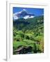 Grindewald, Switzerland-Peter Adams-Framed Photographic Print