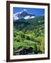 Grindewald, Switzerland-Peter Adams-Framed Photographic Print