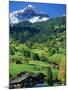 Grindewald, Switzerland-Peter Adams-Mounted Photographic Print