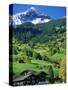 Grindewald, Switzerland-Peter Adams-Stretched Canvas