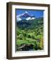 Grindewald, Switzerland-Peter Adams-Framed Photographic Print