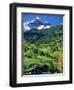 Grindewald, Switzerland-Peter Adams-Framed Photographic Print