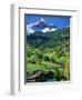 Grindewald, Switzerland-Peter Adams-Framed Photographic Print