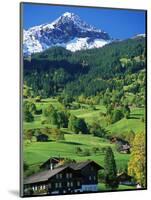 Grindewald, Switzerland-Peter Adams-Mounted Photographic Print