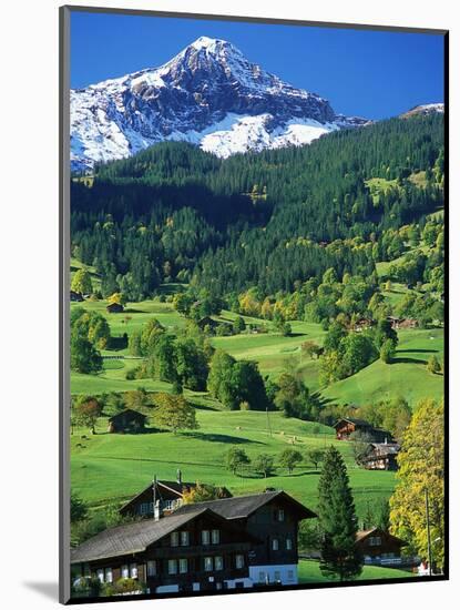 Grindewald, Switzerland-Peter Adams-Mounted Photographic Print