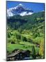 Grindewald, Switzerland-Peter Adams-Mounted Photographic Print