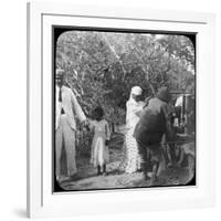 Grinding Sugar Cane, Brazil, Late 19th or Early 20th Century-null-Framed Photographic Print