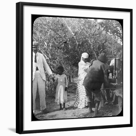 Grinding Sugar Cane, Brazil, Late 19th or Early 20th Century-null-Framed Photographic Print