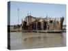 Grindly, Photograph Taken in 1982, Iraq, Middle East-null-Stretched Canvas