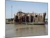 Grindly, Photograph Taken in 1982, Iraq, Middle East-null-Mounted Photographic Print