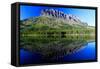Grinnell Point and Fischercap Lake Mountain Reflection Glacier National Park Montana-Steve Boice-Framed Stretched Canvas