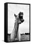 Grinning Horse, Camargue, France-Nadia Isakova-Framed Stretched Canvas