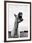 Grinning Horse, Camargue, France-Nadia Isakova-Framed Photographic Print