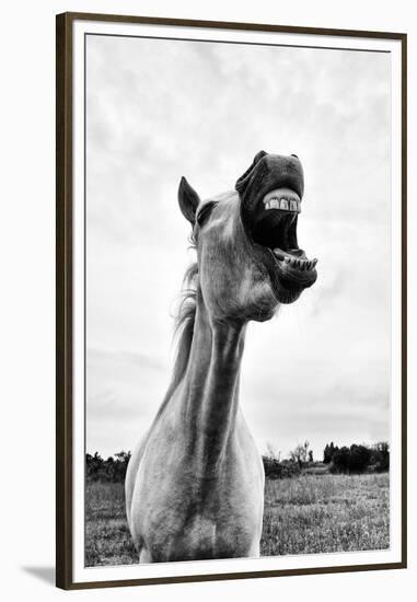 Grinning Horse, Camargue, France-Nadia Isakova-Framed Premium Photographic Print