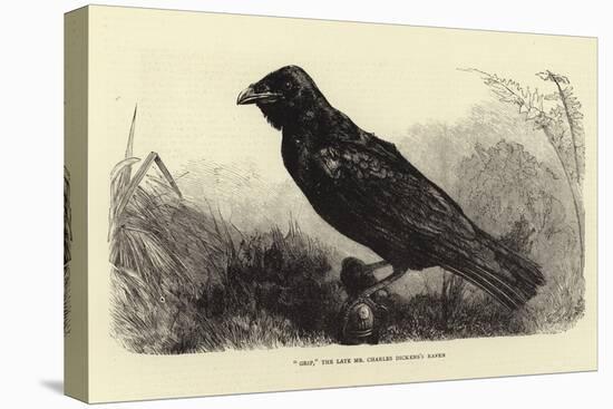 Grip, the Late Charles Dickens' Raven-null-Stretched Canvas