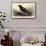 Grip, the Late Charles Dickens' Raven-null-Framed Stretched Canvas displayed on a wall