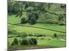 Grisedale Beck, Lake District, Cumbria, England, United Kingdom-Lee Frost-Mounted Photographic Print