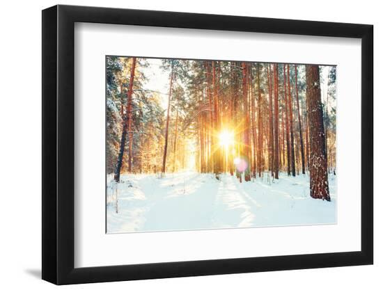 Premium Photographic Print, , large