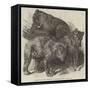 Grisly Bears, in the Gardens of the Zoological Society, Regent's Park-Harrison William Weir-Framed Stretched Canvas