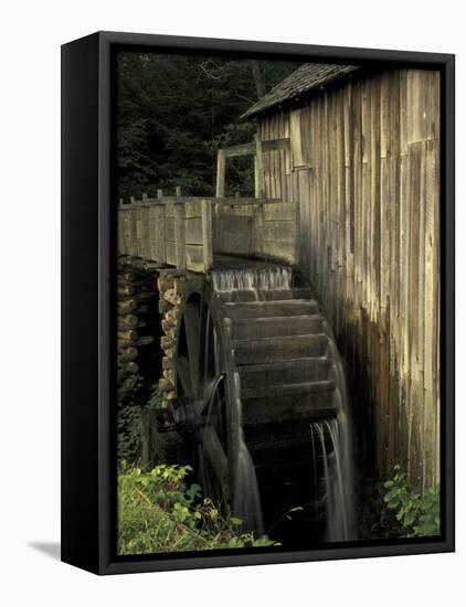 Grist mill, Cades Cove, Great Smoky Mountains National Park, Tennessee, USA-Adam Jones-Framed Stretched Canvas