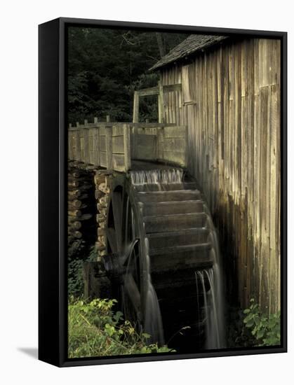 Grist mill, Cades Cove, Great Smoky Mountains National Park, Tennessee, USA-Adam Jones-Framed Stretched Canvas