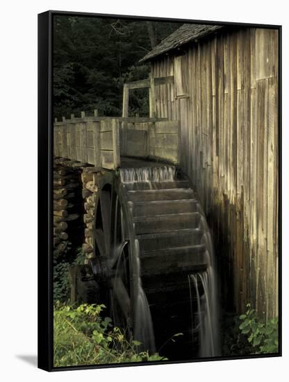 Grist mill, Cades Cove, Great Smoky Mountains National Park, Tennessee, USA-Adam Jones-Framed Stretched Canvas