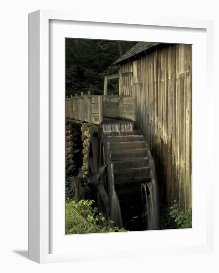 Grist mill, Cades Cove, Great Smoky Mountains National Park, Tennessee, USA-Adam Jones-Framed Photographic Print