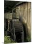 Grist mill, Cades Cove, Great Smoky Mountains National Park, Tennessee, USA-Adam Jones-Mounted Photographic Print