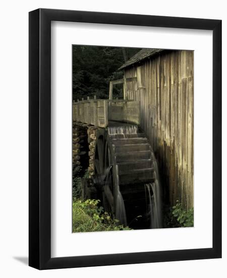 Grist mill, Cades Cove, Great Smoky Mountains National Park, Tennessee, USA-Adam Jones-Framed Photographic Print