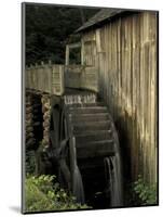 Grist mill, Cades Cove, Great Smoky Mountains National Park, Tennessee, USA-Adam Jones-Mounted Photographic Print