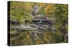 Grist Mill Fall 2013 2-Galloimages Online-Stretched Canvas