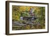 Grist Mill Fall 2013 5-Galloimages Online-Framed Photographic Print