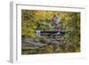 Grist Mill Fall 2013 5-Galloimages Online-Framed Photographic Print