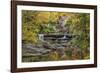 Grist Mill Fall 2013 5-Galloimages Online-Framed Photographic Print