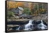 Grist Mill on GladeCreek at Babcock State Park, West Virginia, USA-Chuck Haney-Framed Stretched Canvas