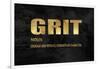 Grit in Gold-Jamie MacDowell-Framed Art Print