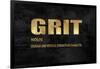 Grit in Gold-Jamie MacDowell-Framed Art Print