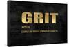 Grit in Gold-Jamie MacDowell-Framed Stretched Canvas
